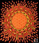 A cell or the sun