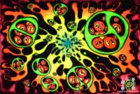 vesicles with neurotransmitters
